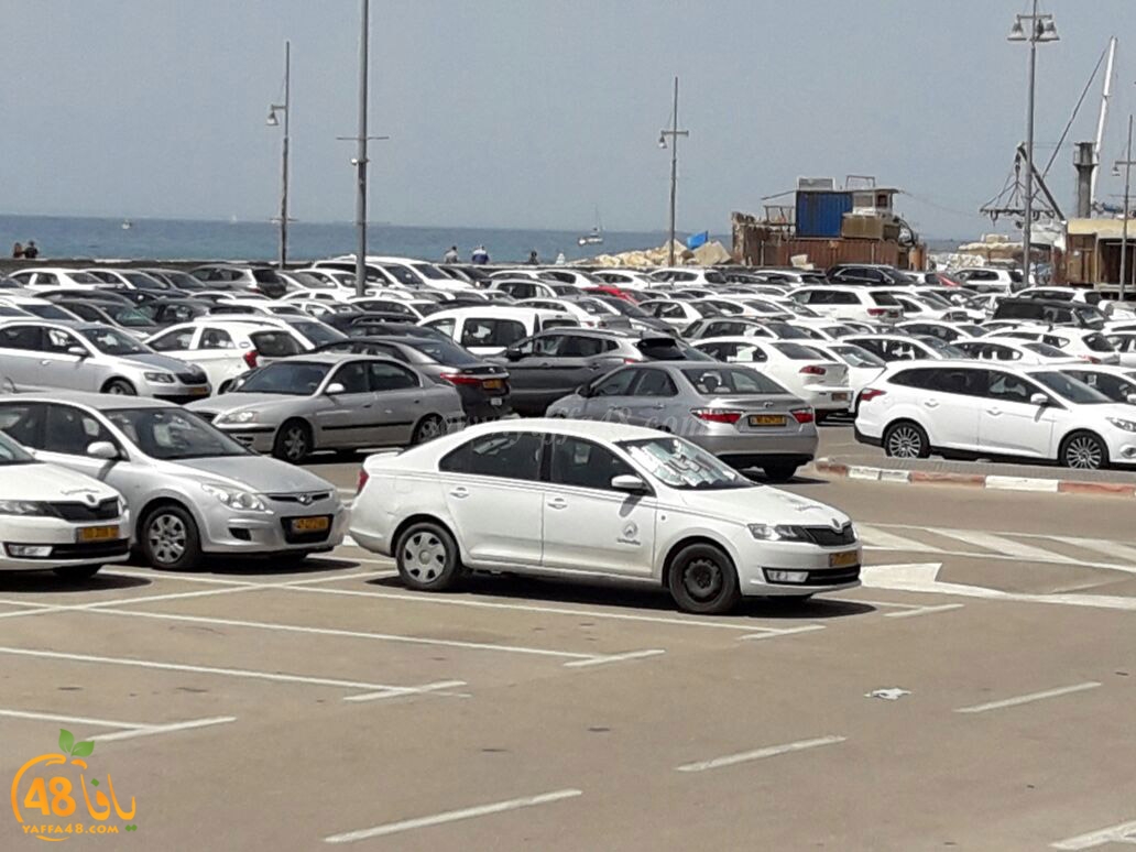 yaffa seya7a (2).jpg